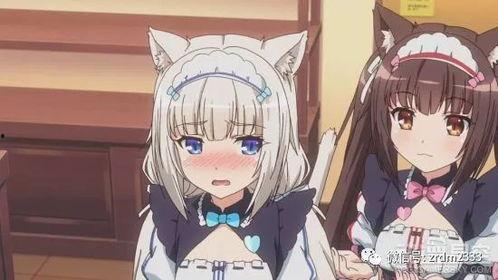 日本后宫猫娘,日本幻想世界的萌系宠妃传奇