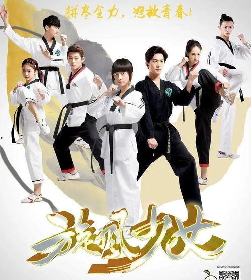 旋风少女超清免费观看,青春热血燃情再现！