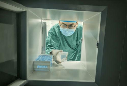 精液spunk在线播放,spunk在线播放带你领略生命之源