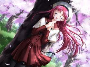 日本动漫姓氏 樱,探寻日本动漫中的家族传奇