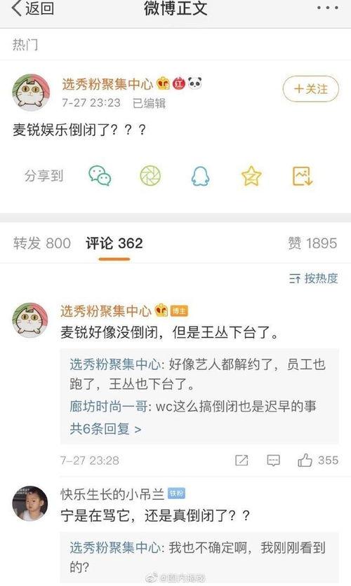 张紫宁最新爆料新闻,揭秘背后惊人真相