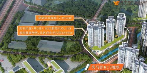 林州龙湖爆料最新消息,揭秘项目进展与未来规划