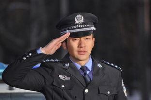 草帽警察全集在线观看,热血追踪，正义之旅